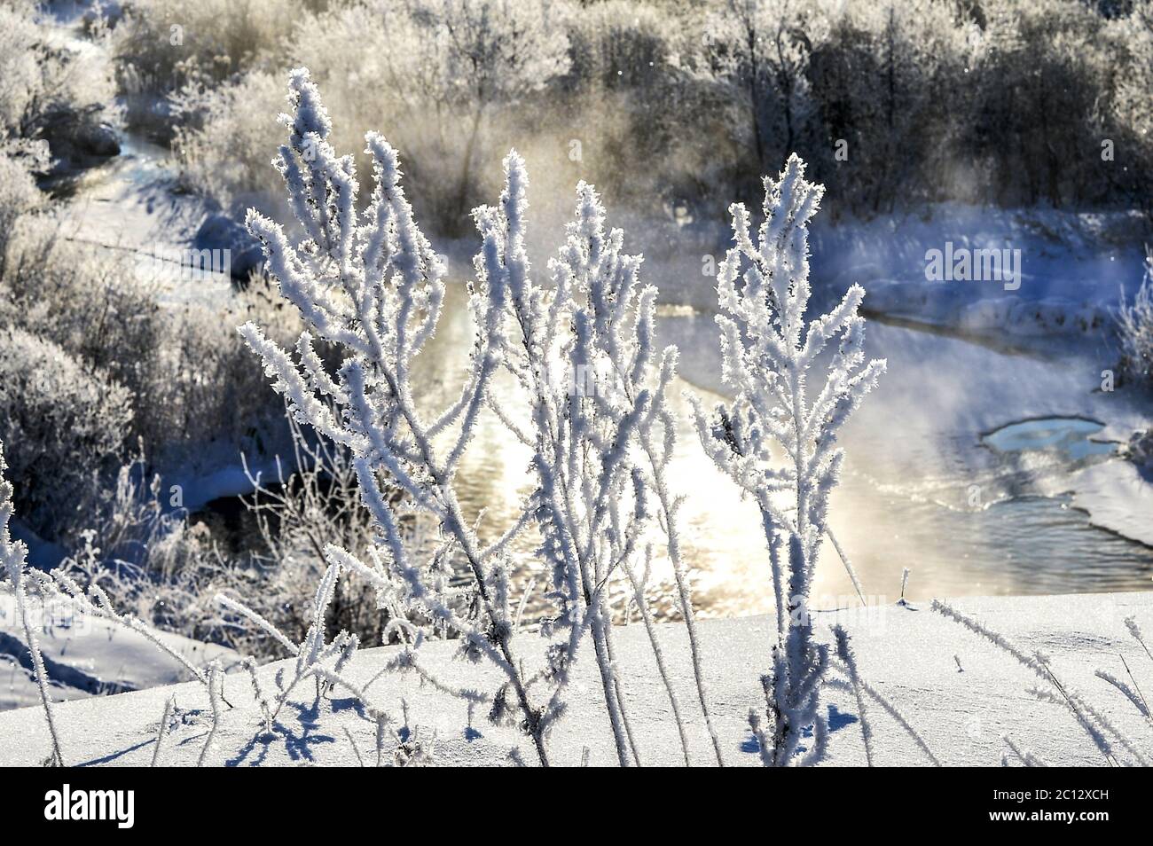 Winter sunny landscape with river and forest Stock Photo - Alamy