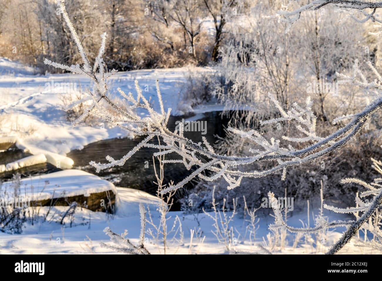 Winter sunny landscape with river and forest Stock Photo - Alamy