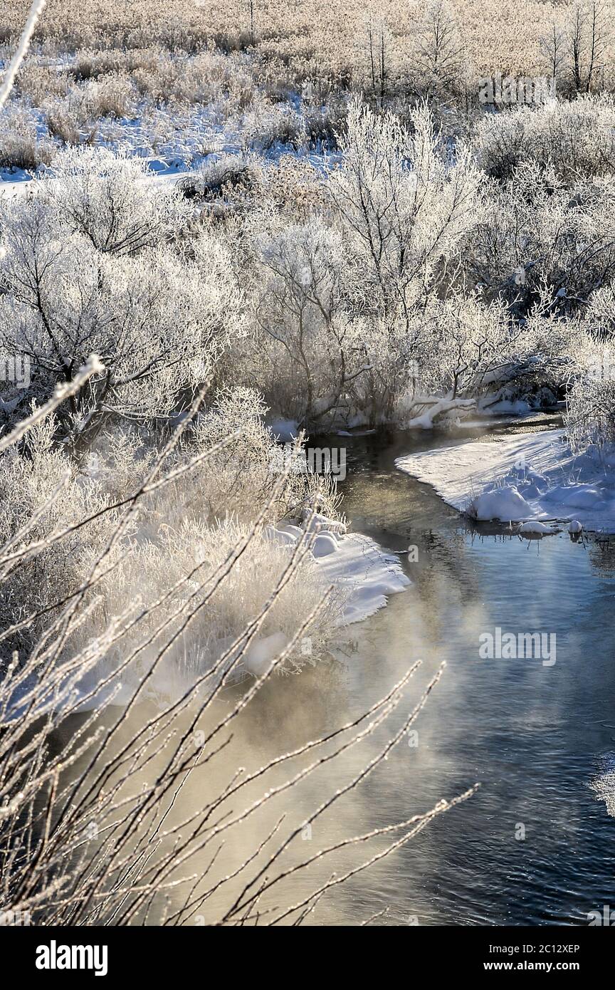 Winter sunny landscape with river and forest Stock Photo - Alamy
