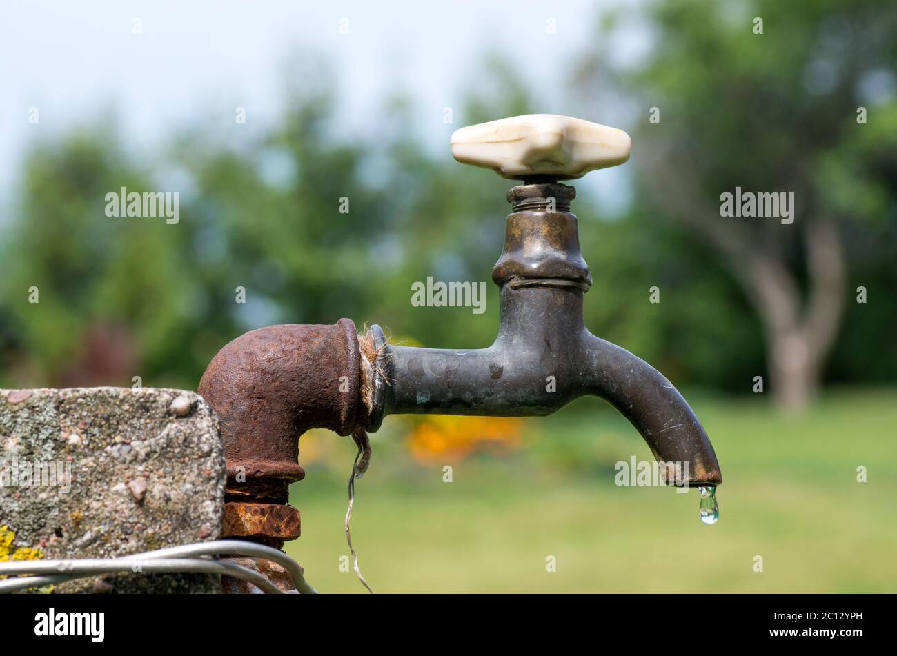 A old rusty water tap in garden Stock Photo Alamy