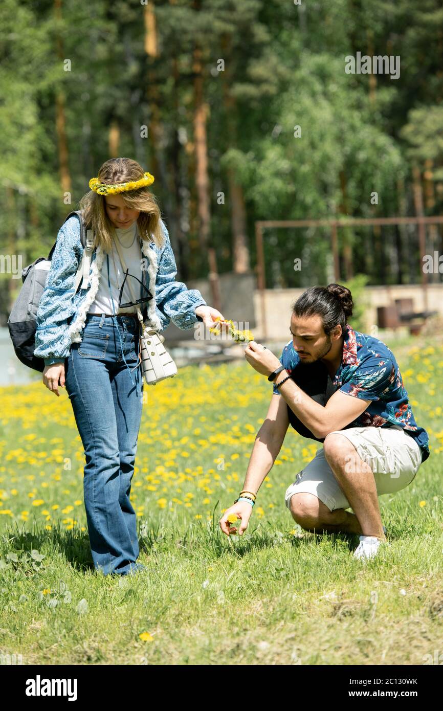 Young man picking dandelion while making flower wrench for girlfriend in countryside Stock Photo