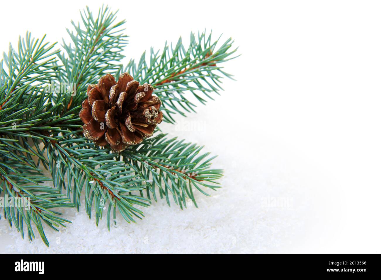 Christmas fir tree branch isolated Stock Photo - Alamy