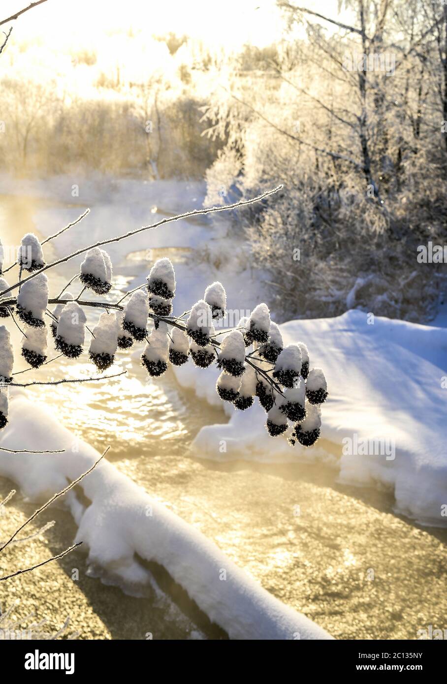 Winter sunny landscape with river and forest Stock Photo - Alamy