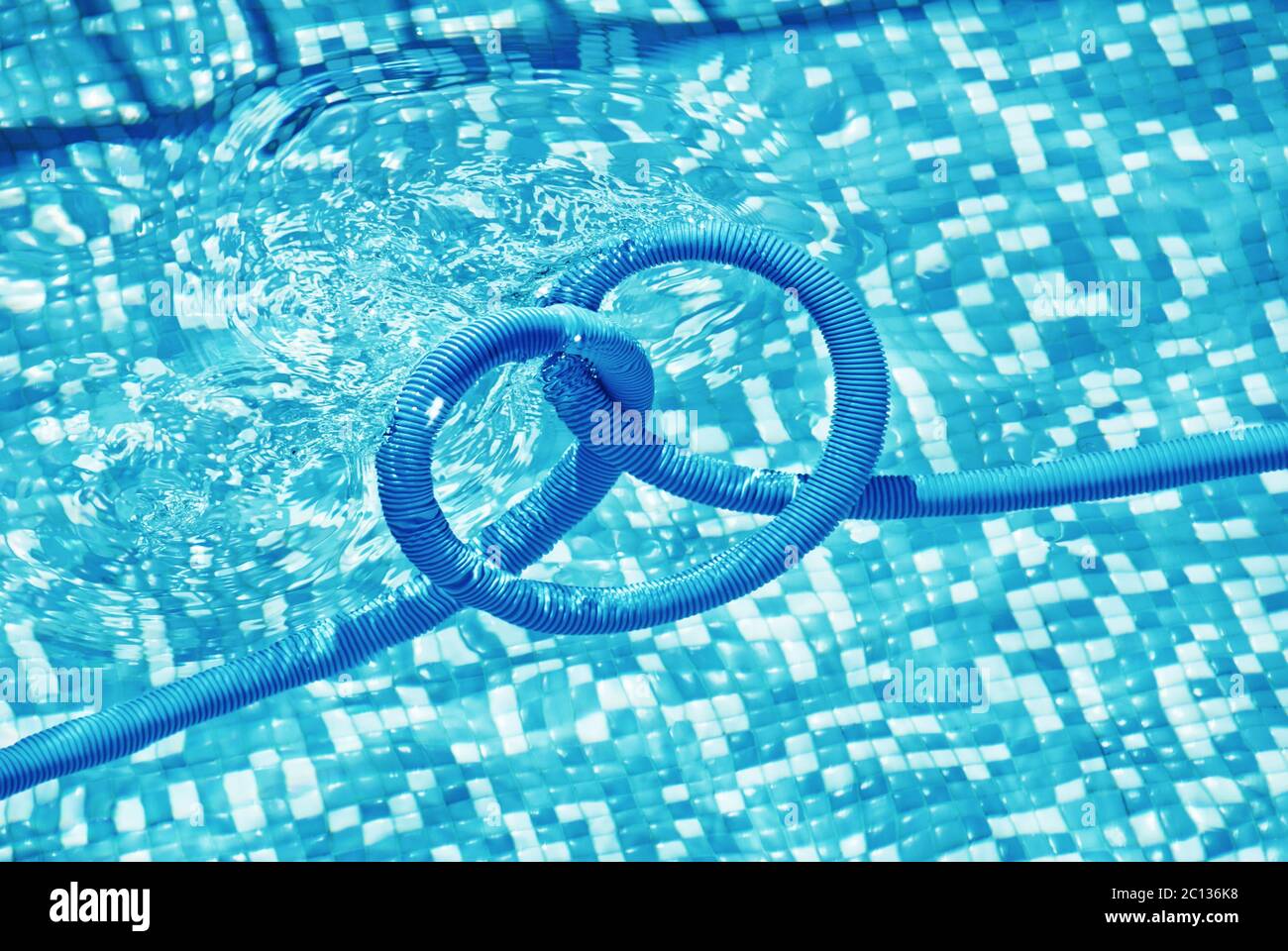 Pool cleaning pipe floating Stock Photo Alamy