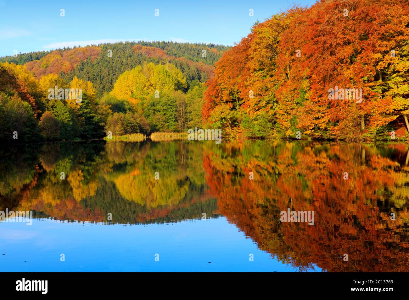 Autumnal trees reflection in the lake water Stock Photo - Alamy