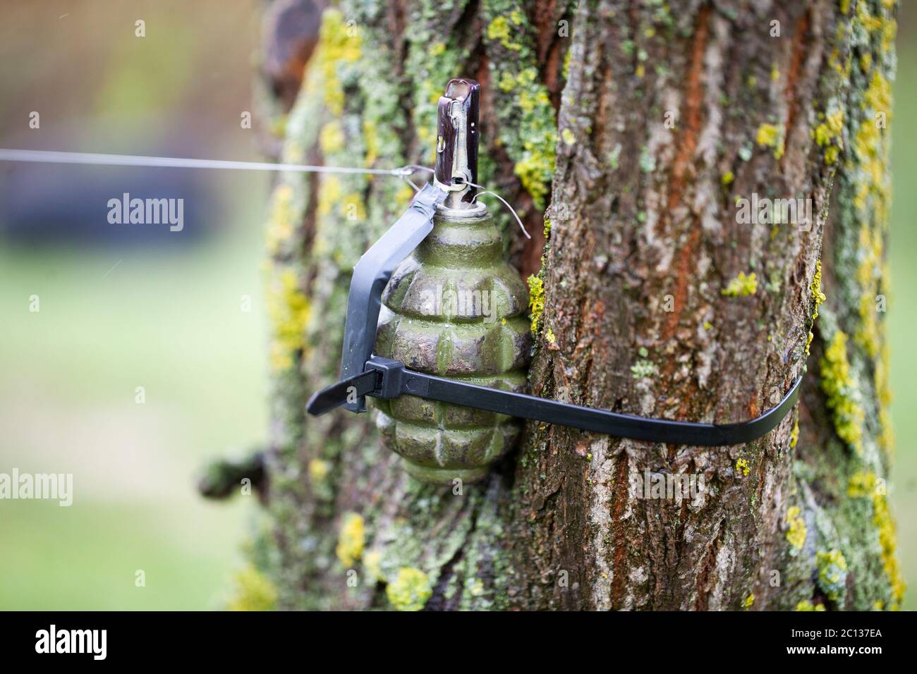 Booby Trap IED from soviet hand grenade F1 and tripwire Stock