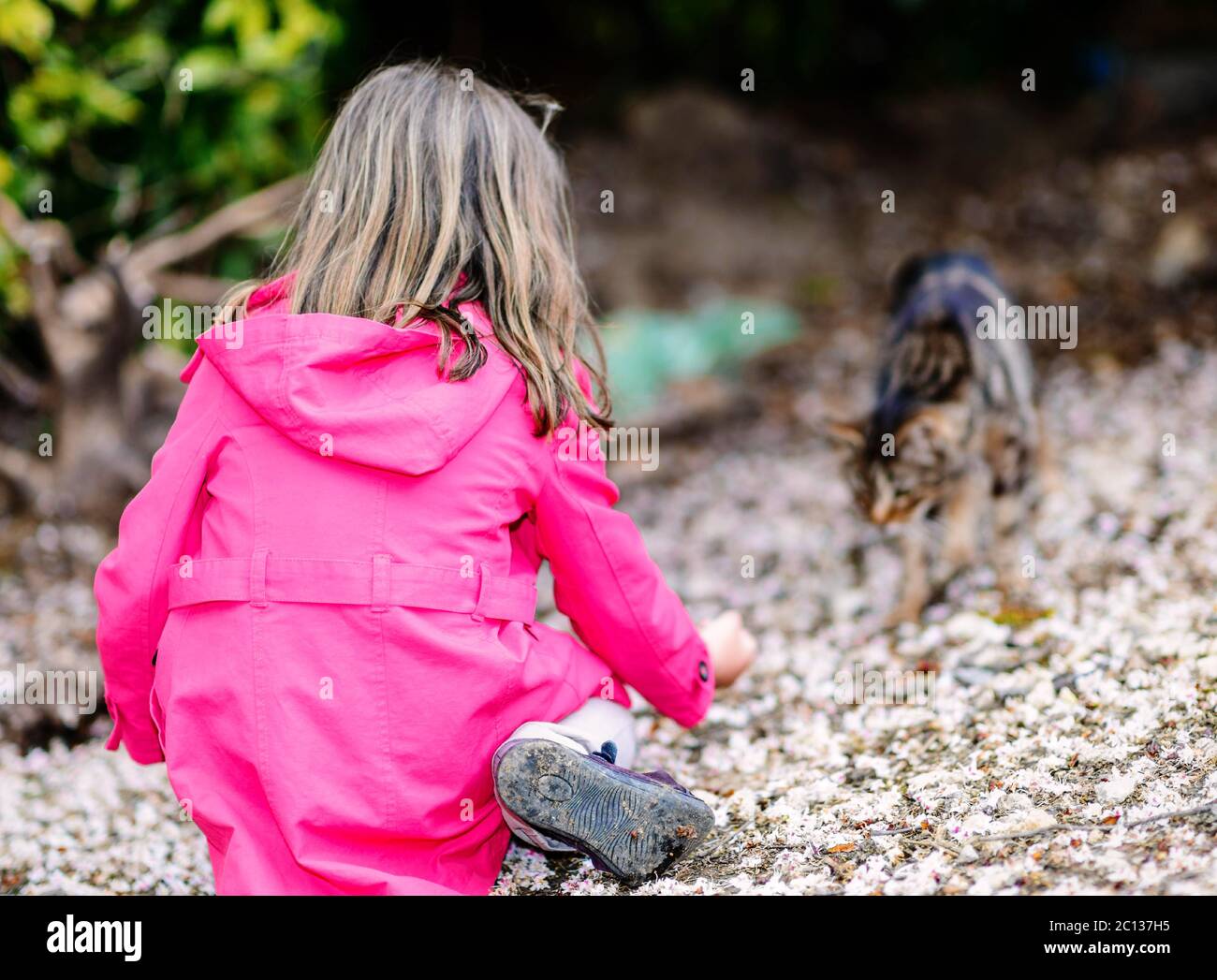 little girl giving food to a cat Stock Photo