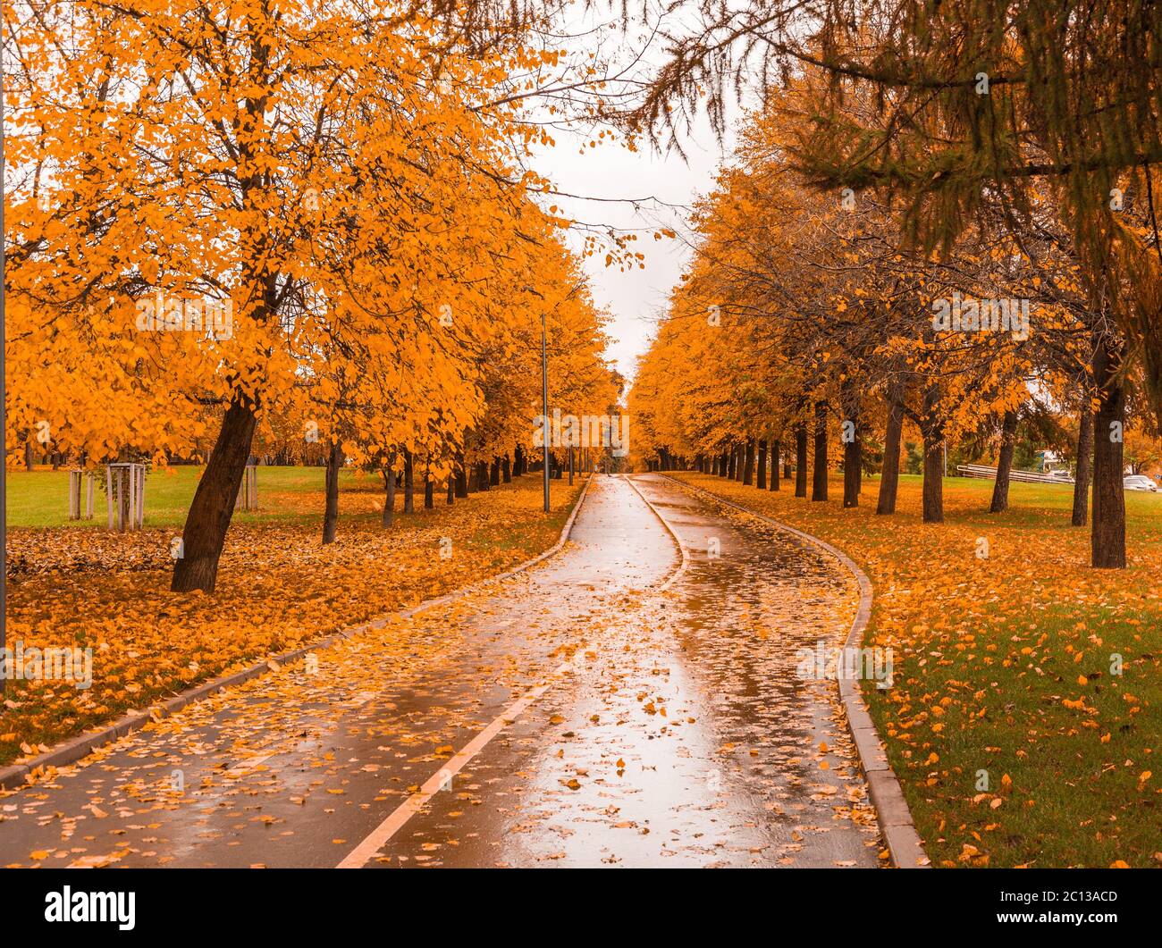 Colorful foliage in the park hi-res stock photography and images - Alamy
