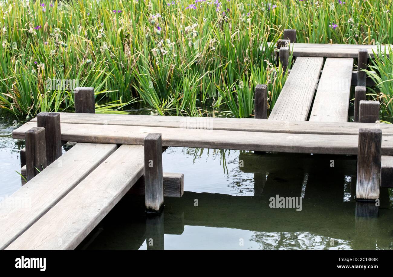 a Japanese zig zag bridge crossing a small pond through lush