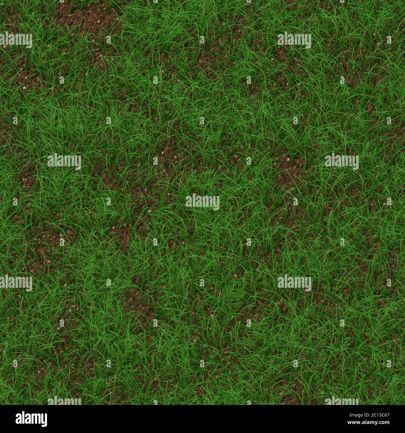 Green grass seamless texture background Stock Photo