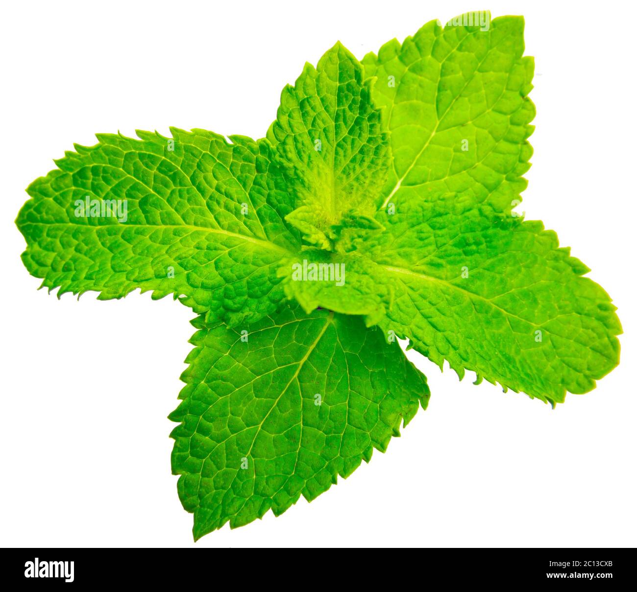 Fresh raw mint leaves isolated on white background Stock Photo