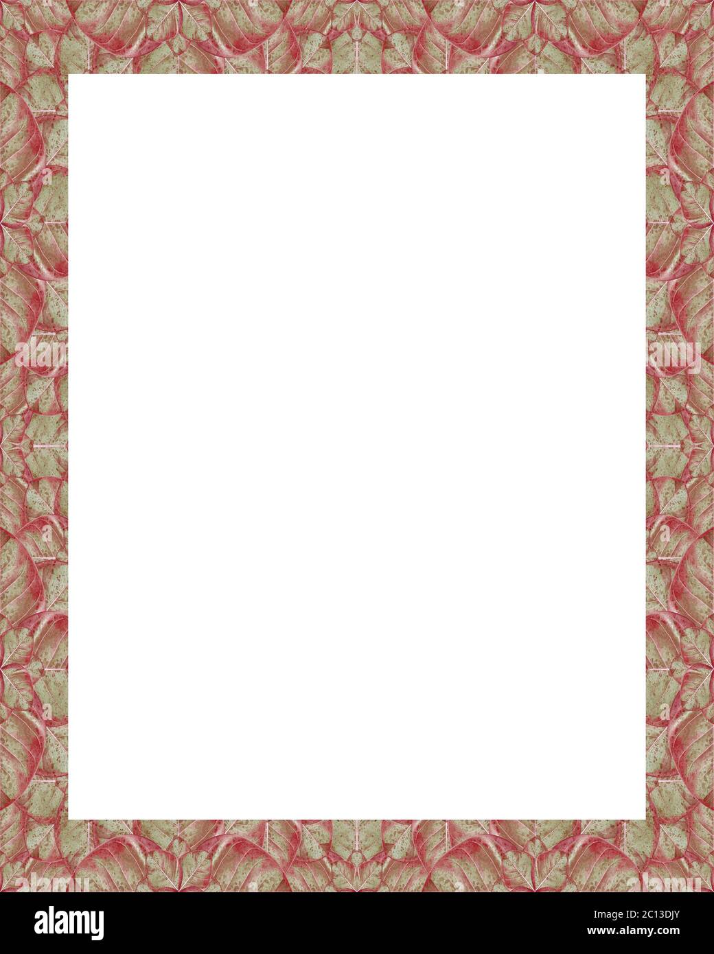 White Frame with Decorated Borders Stock Photo - Alamy