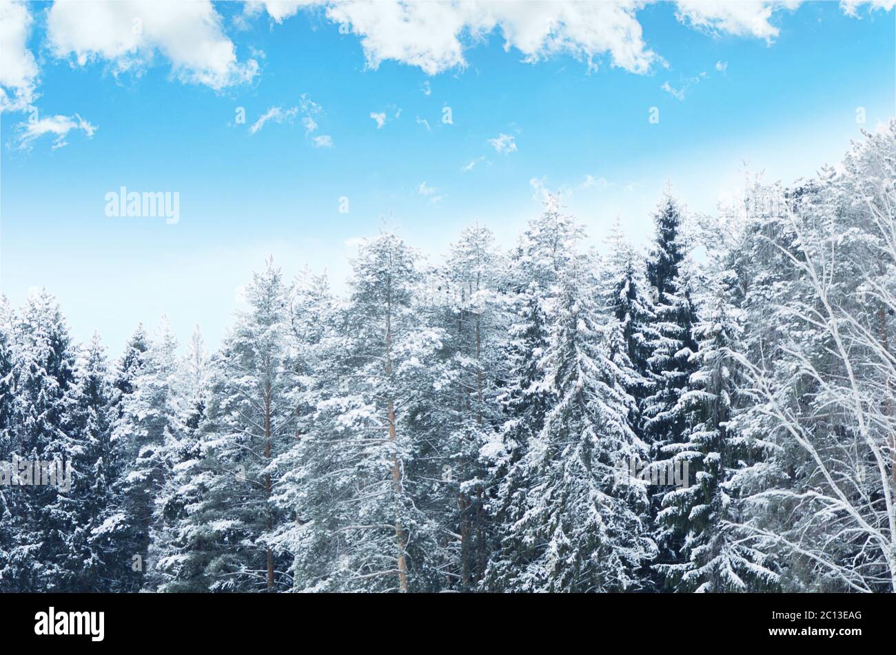 Snowy landscape bright blue sky hi-res stock photography and images - Alamy