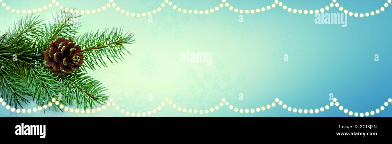 Christmas fir tree branch isolated Stock Photo - Alamy