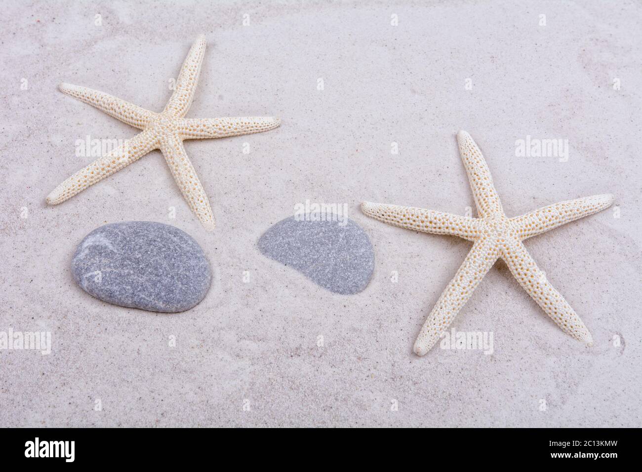 White starfishes and two shells on a sand Stock Photo