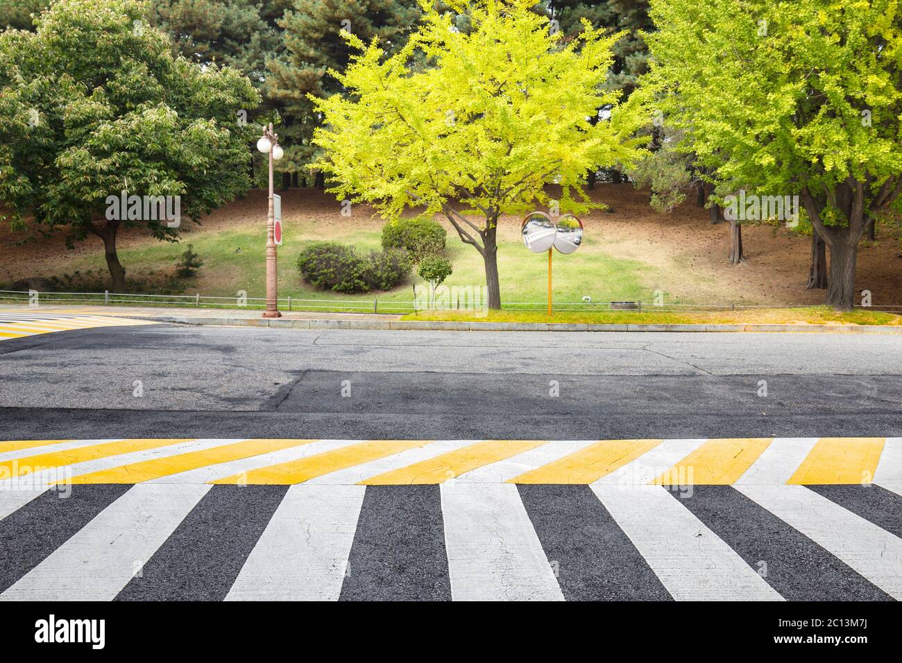 Empty asphalt road with green trees Stock Photo - Alamy