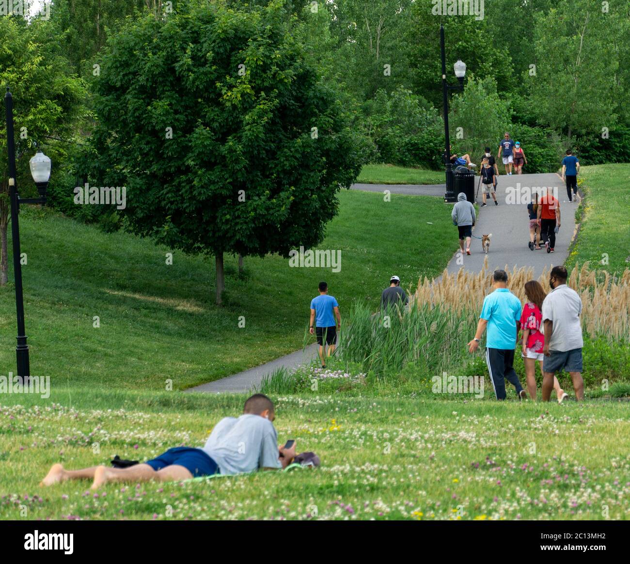 Man relaxing on green grass in public park keeping safe distance as parks open up in New Jersey. Overpeck Park. Stock Photo