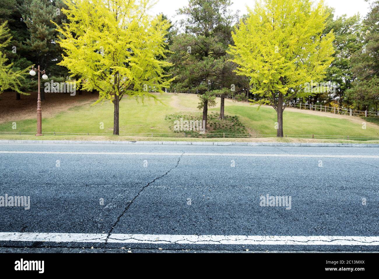 Empty asphalt road with green trees Stock Photo - Alamy