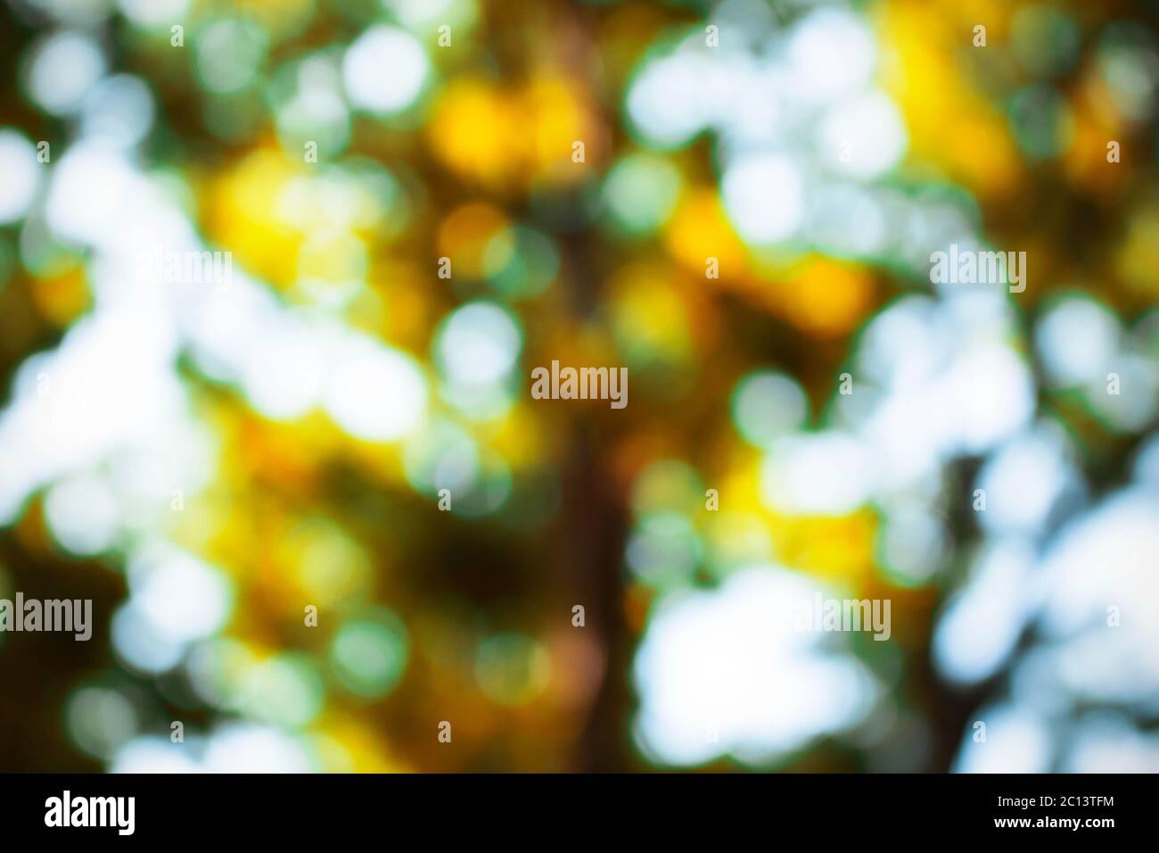 Bokeh from daylight with beautiful colors. Stock Photo