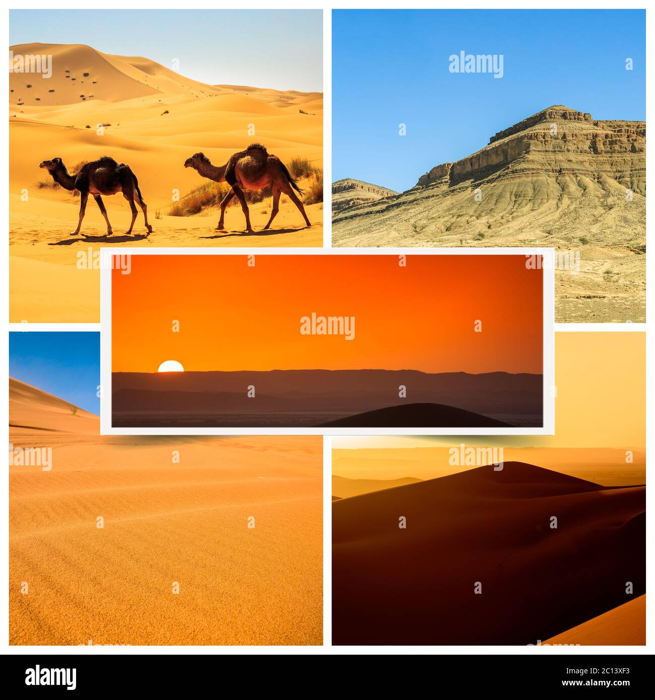 Composition showing details of the Moroccan desert Stock Photo