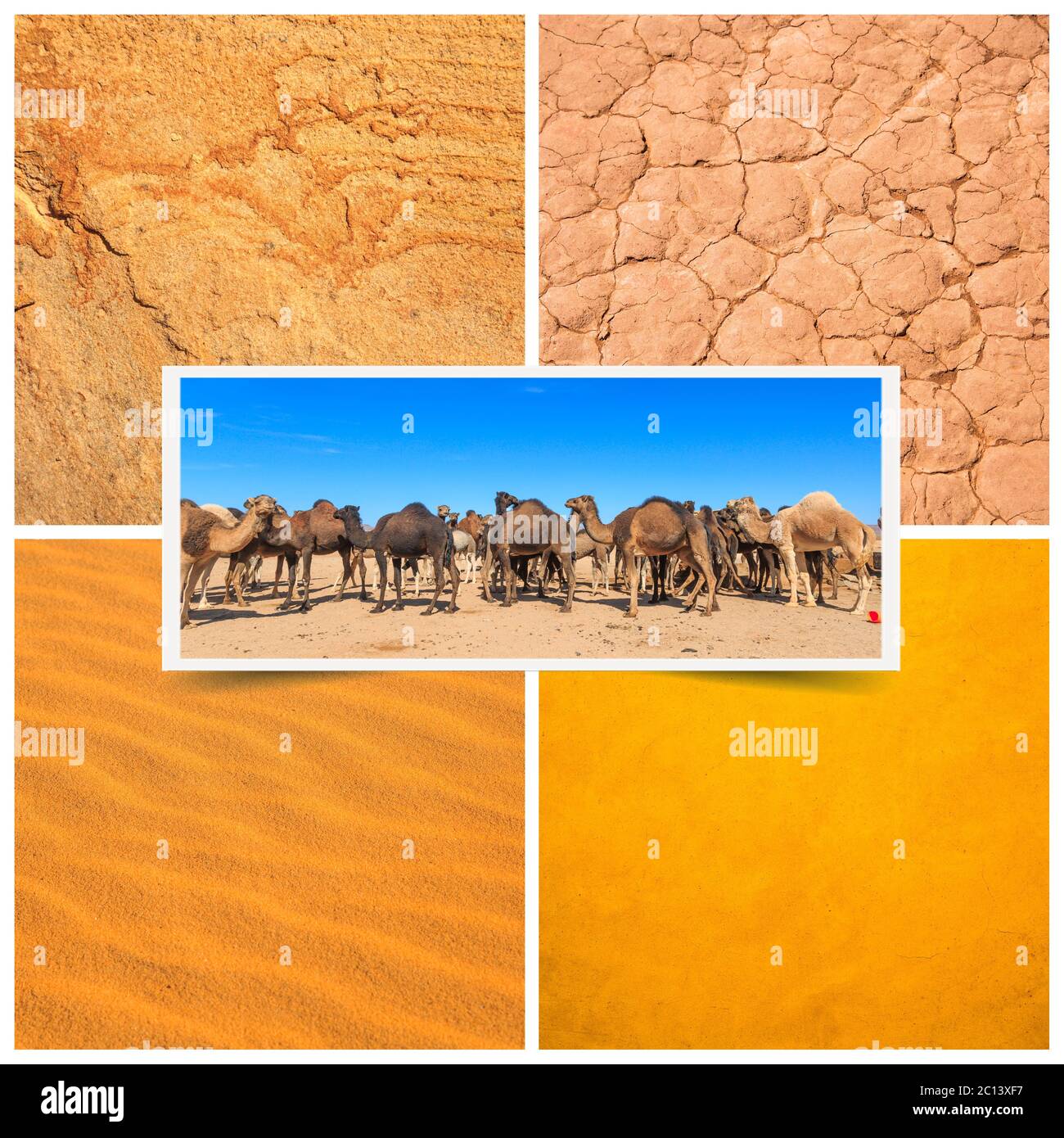 Composition showing details of the Moroccan desert Stock Photo