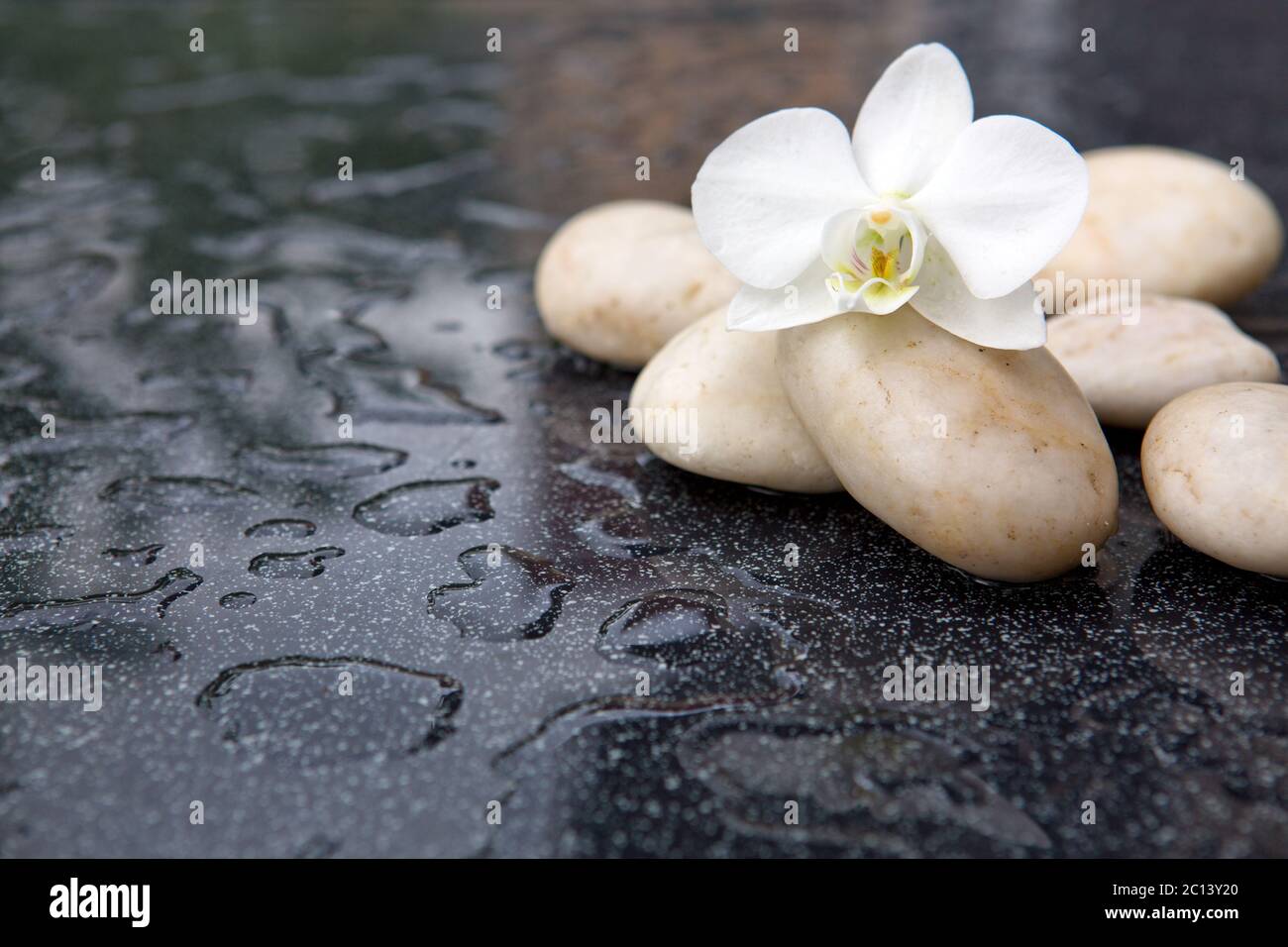 Single orchid flowers and white stones. Stock Photo