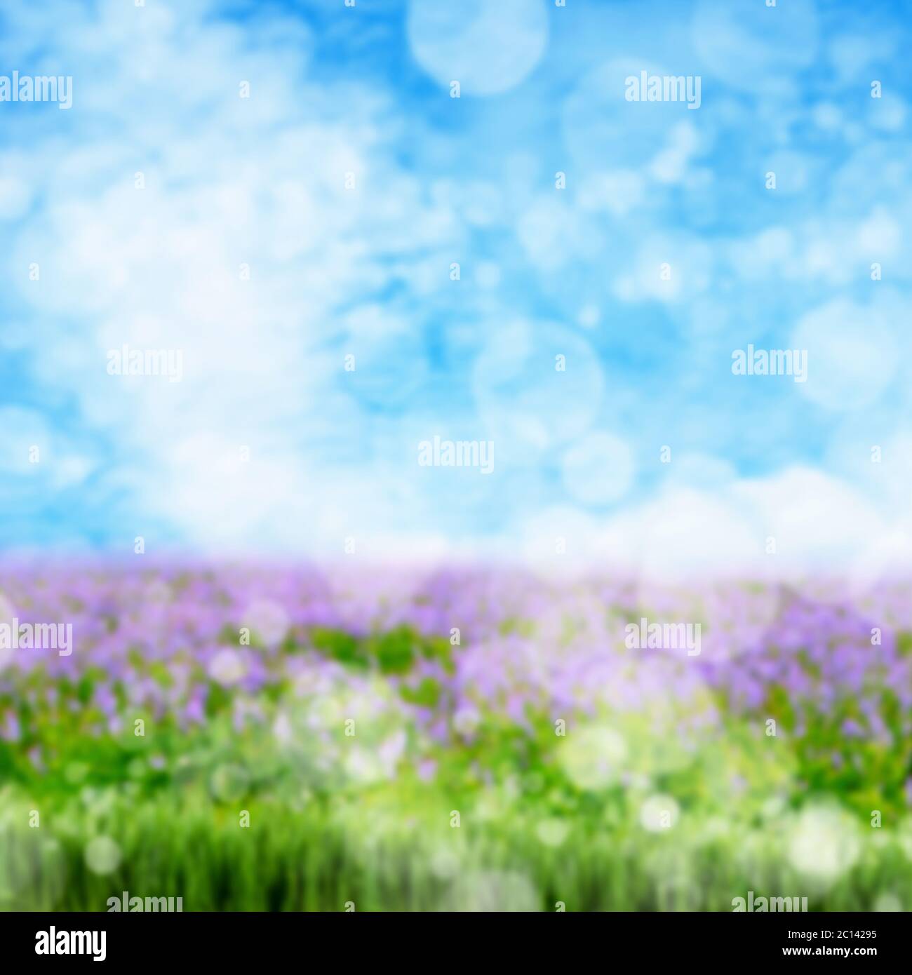 Abstract blur spring background hi-res stock photography and images - Alamy