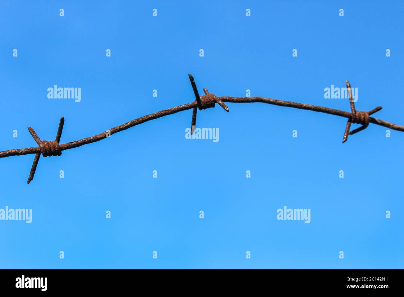 Barbed wire closeup on a blue sky background Stock Photo
