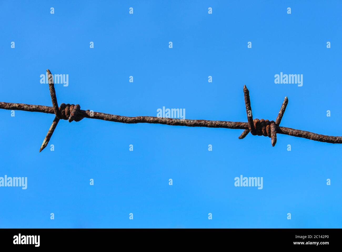 Barbed wire closeup on a blue sky background Stock Photo