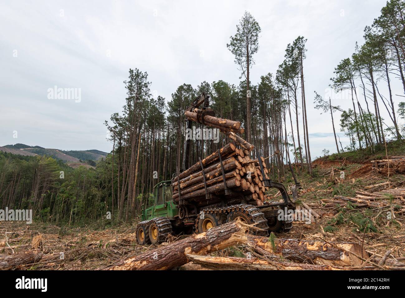 swing arm log loader truck on woods pine forest at work Stock Photo - Alamy