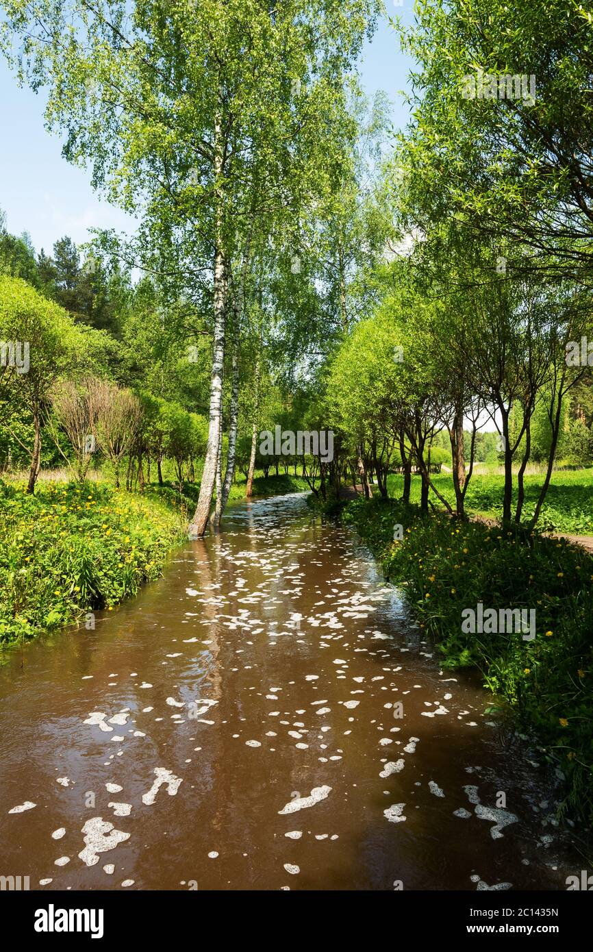 View of the forest river. A landscape with a river and forest trees on a Sunny summer day Stock Photo