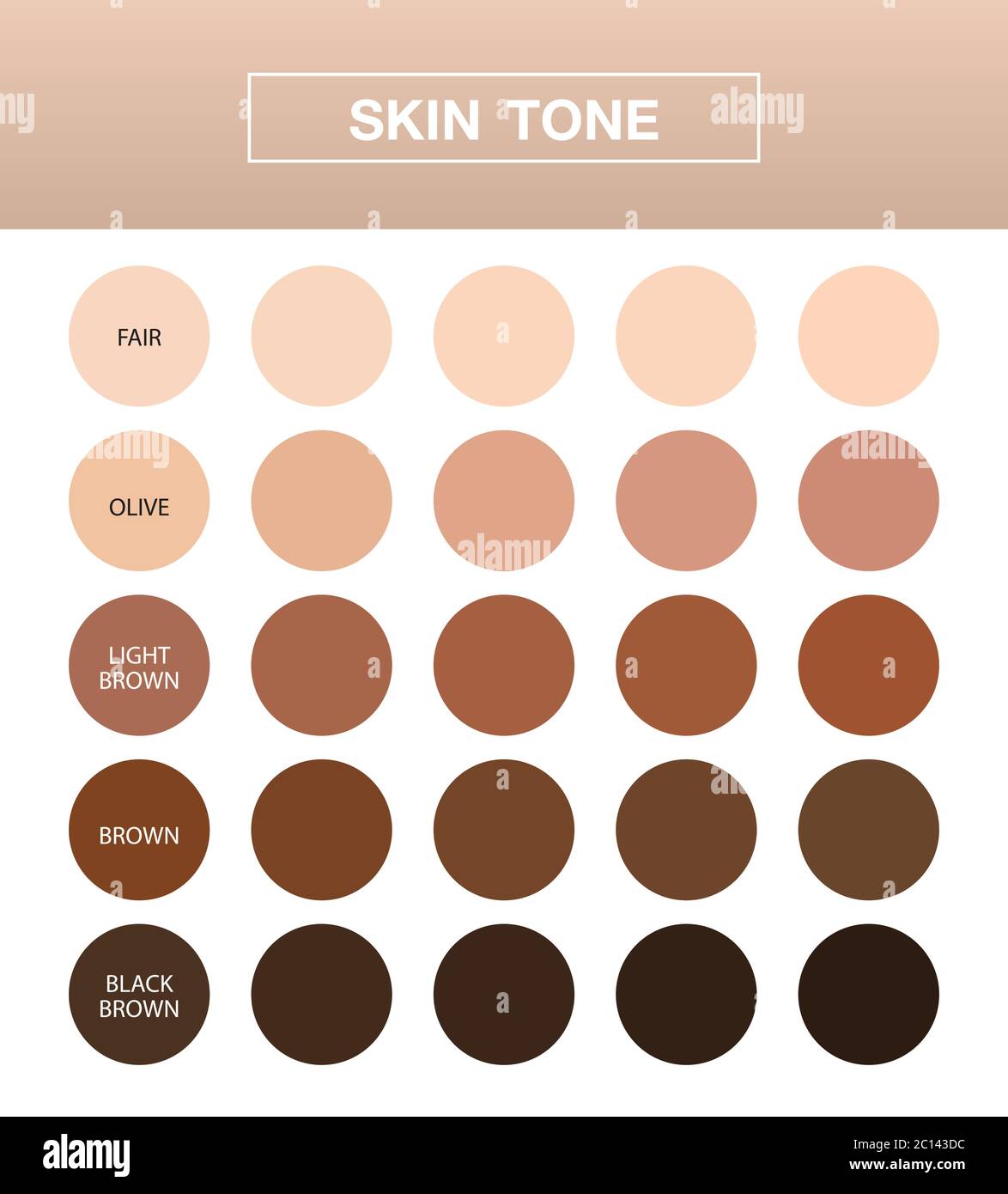 Skin Tone Infographic Color Table Chart Beauty Human Index Vector