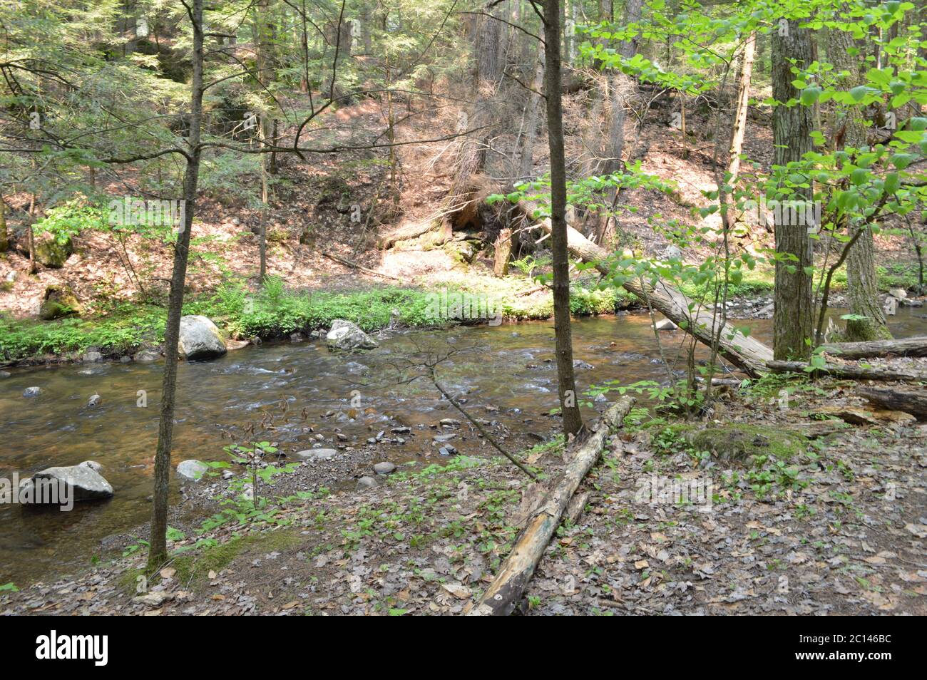 Shelving waterfall hires stock photography and images Alamy