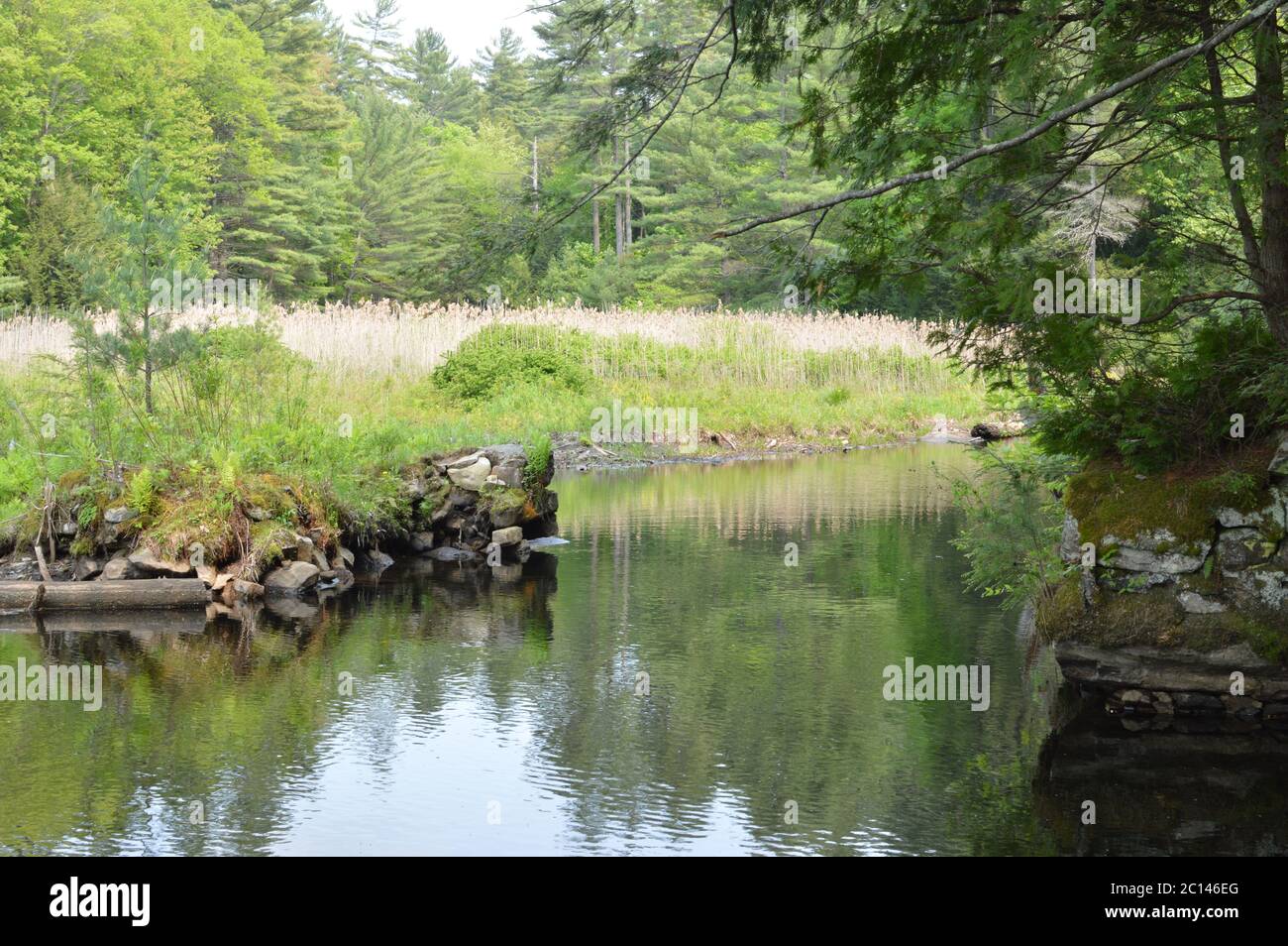 Shelving waterfall hires stock photography and images Alamy