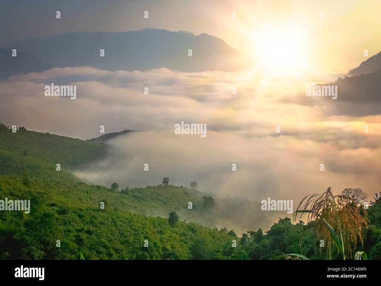 Mist In The Valley Stock Photo