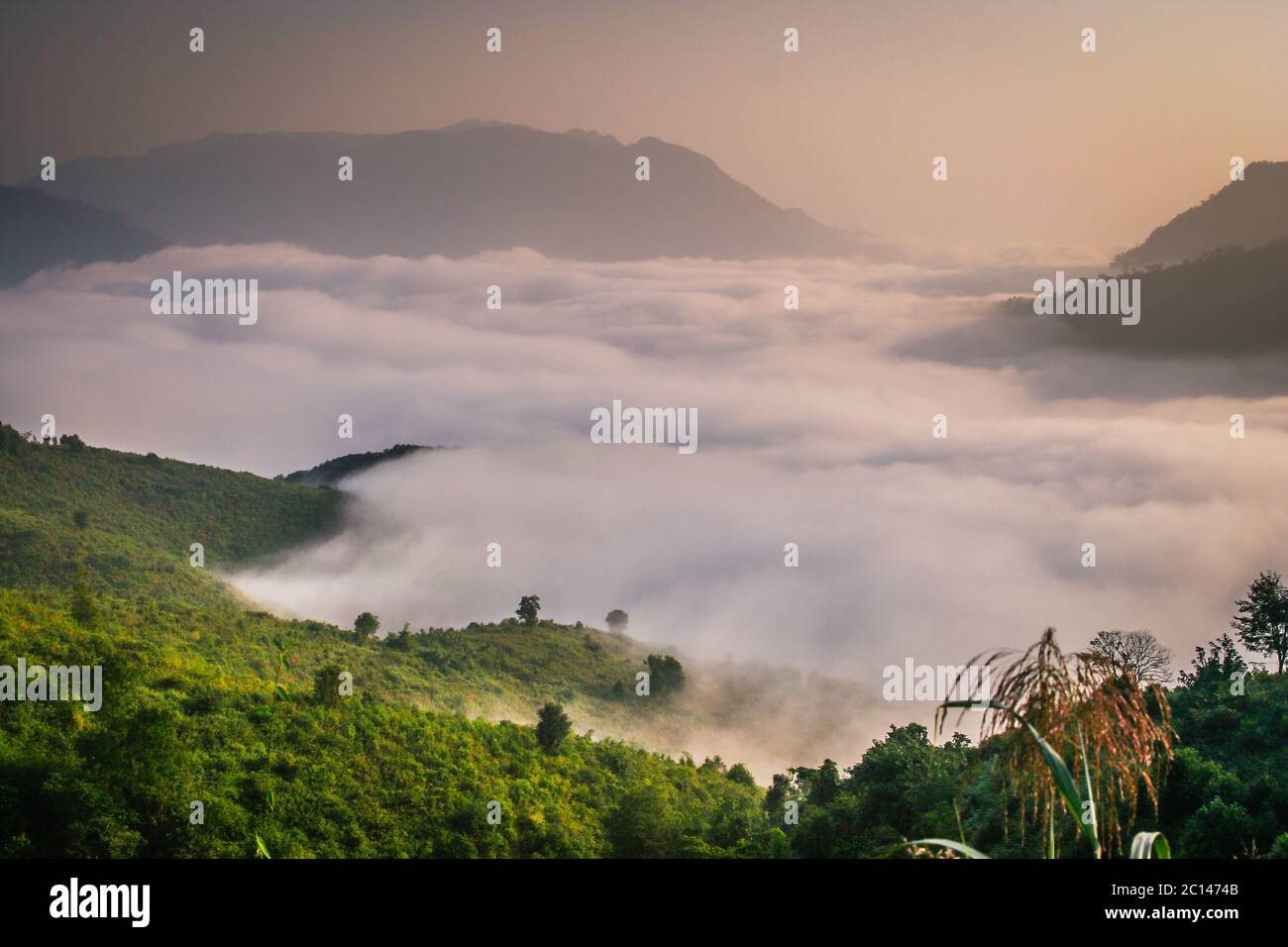 Mist In The Valley Stock Photo