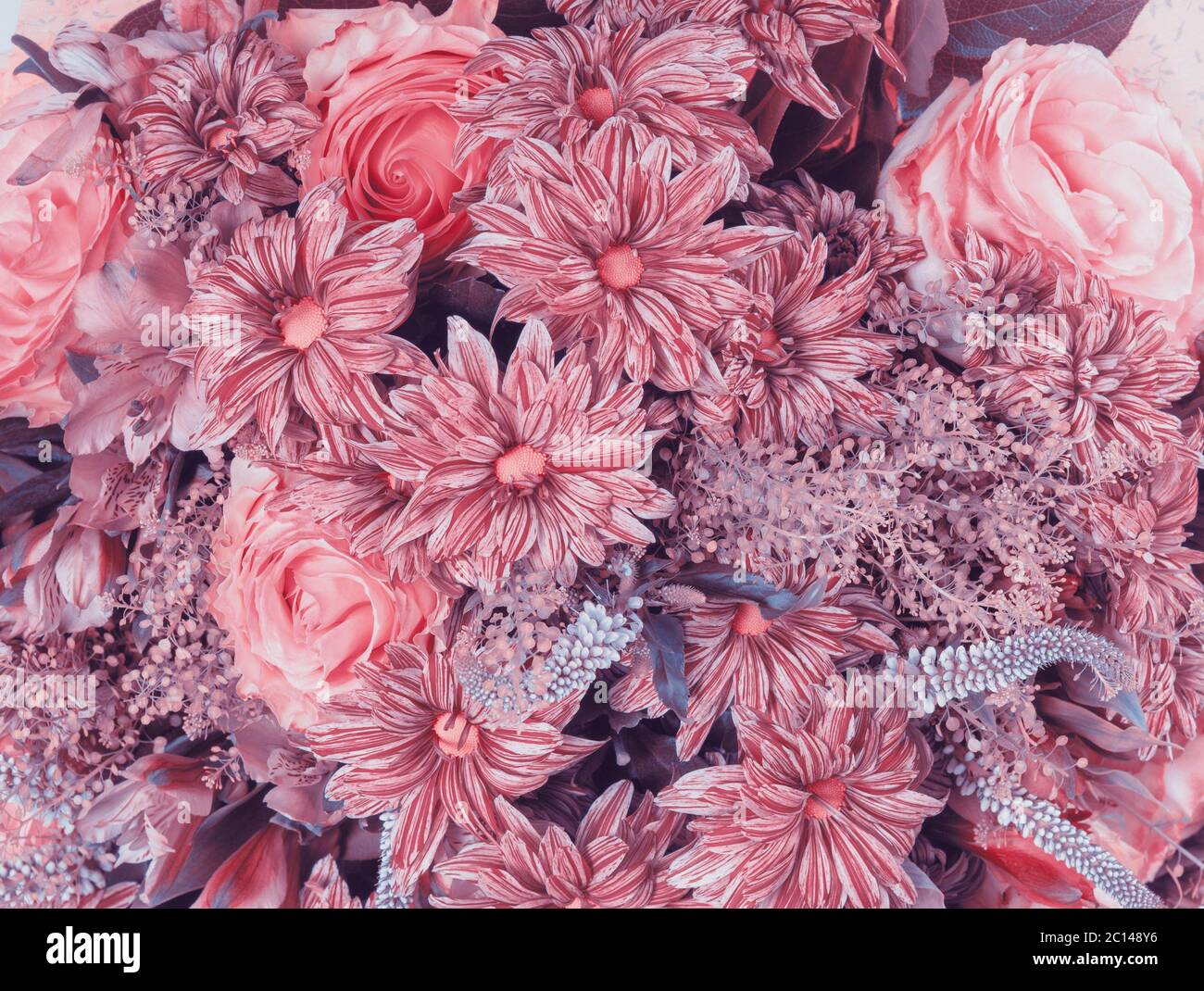 Abstract background of flowers. Faded color tone Stock Photo Alamy