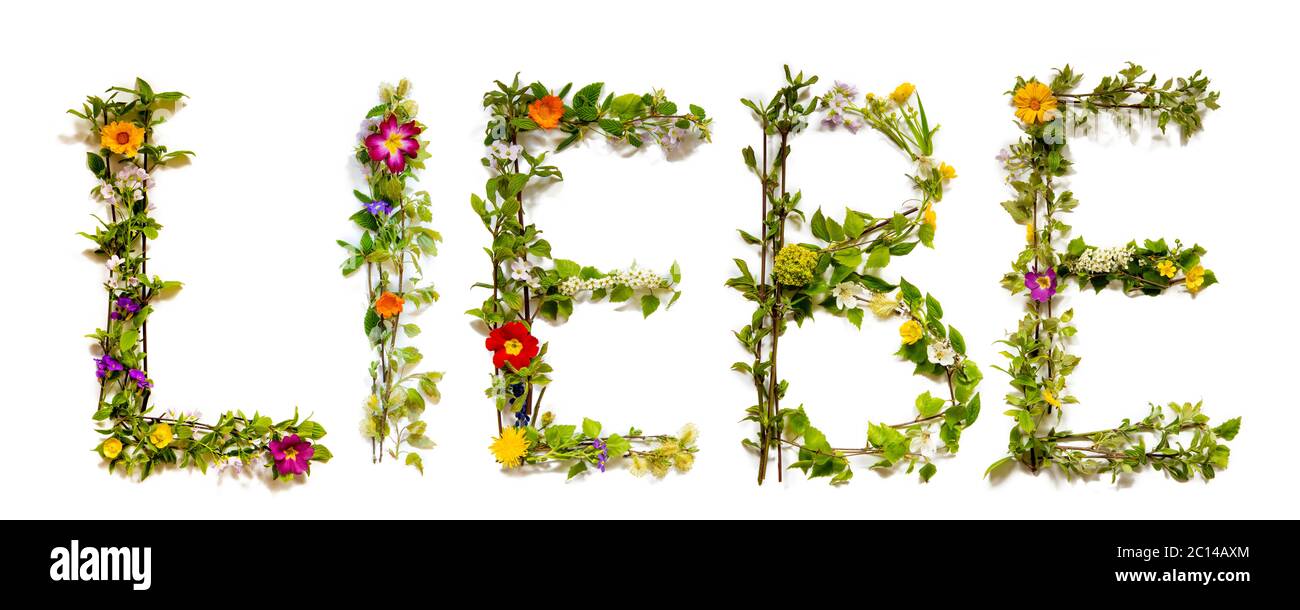 Flower And Blossom Letter Building Word Liebe Means Love Stock Photo