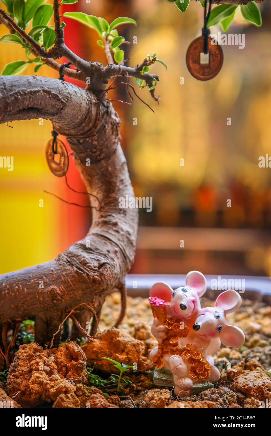 Decorated bonsai tree hi-res stock photography and images - Alamy