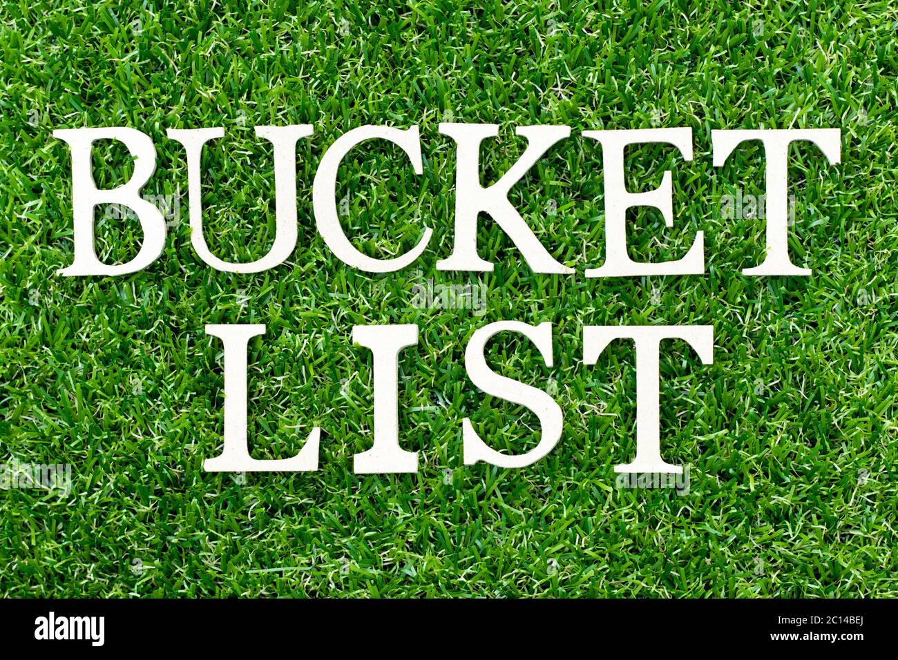 Wood alphabet letter in word bucket list on green grass background