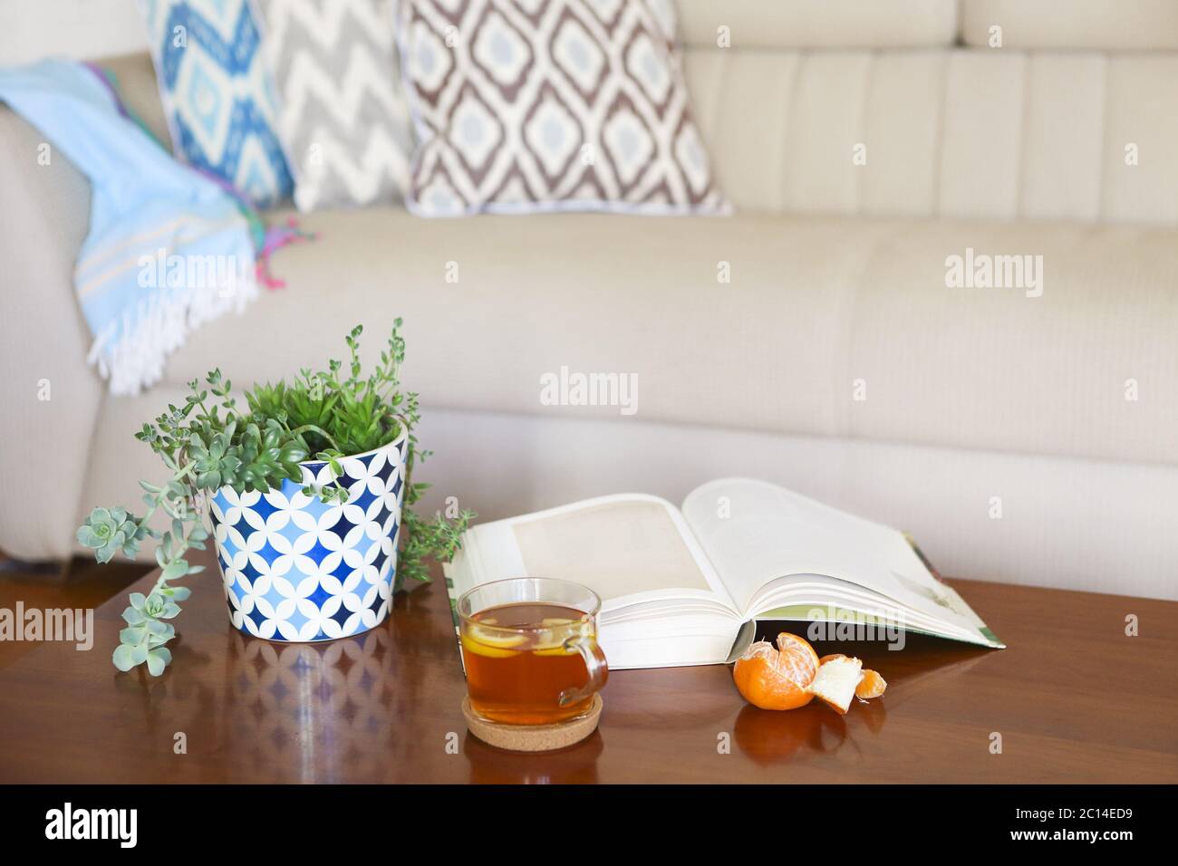 Pot with succulent plants and opened book with the tea on wooden table. Stock Photo