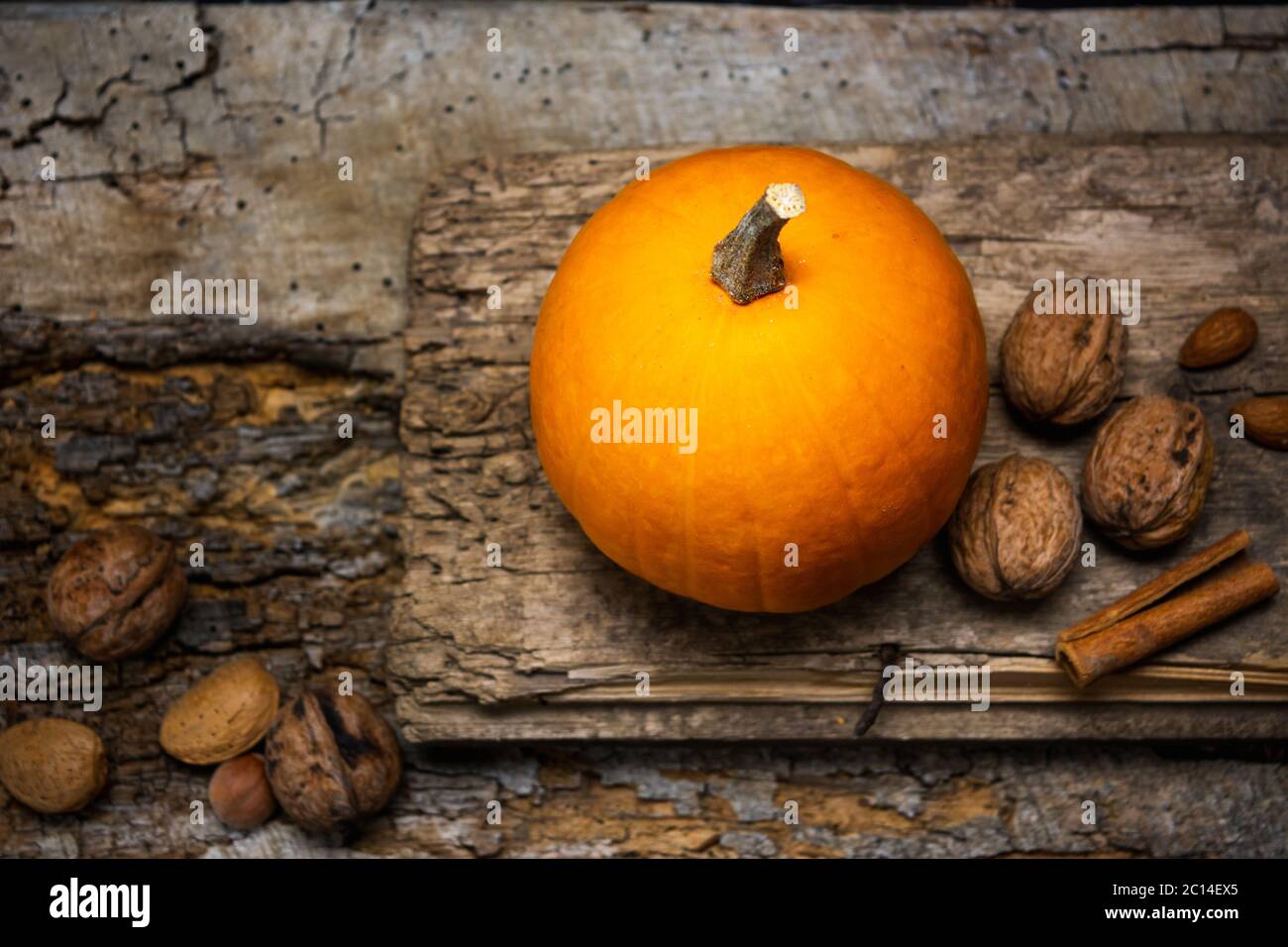Small pumpkin and walnuts on a rustic wooden board Stock Photo