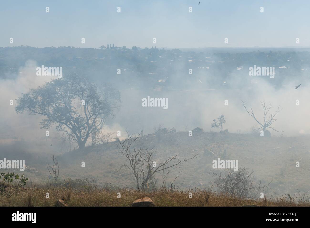 Fire burning in bushland near country town, Queensland, Australia Stock Photo