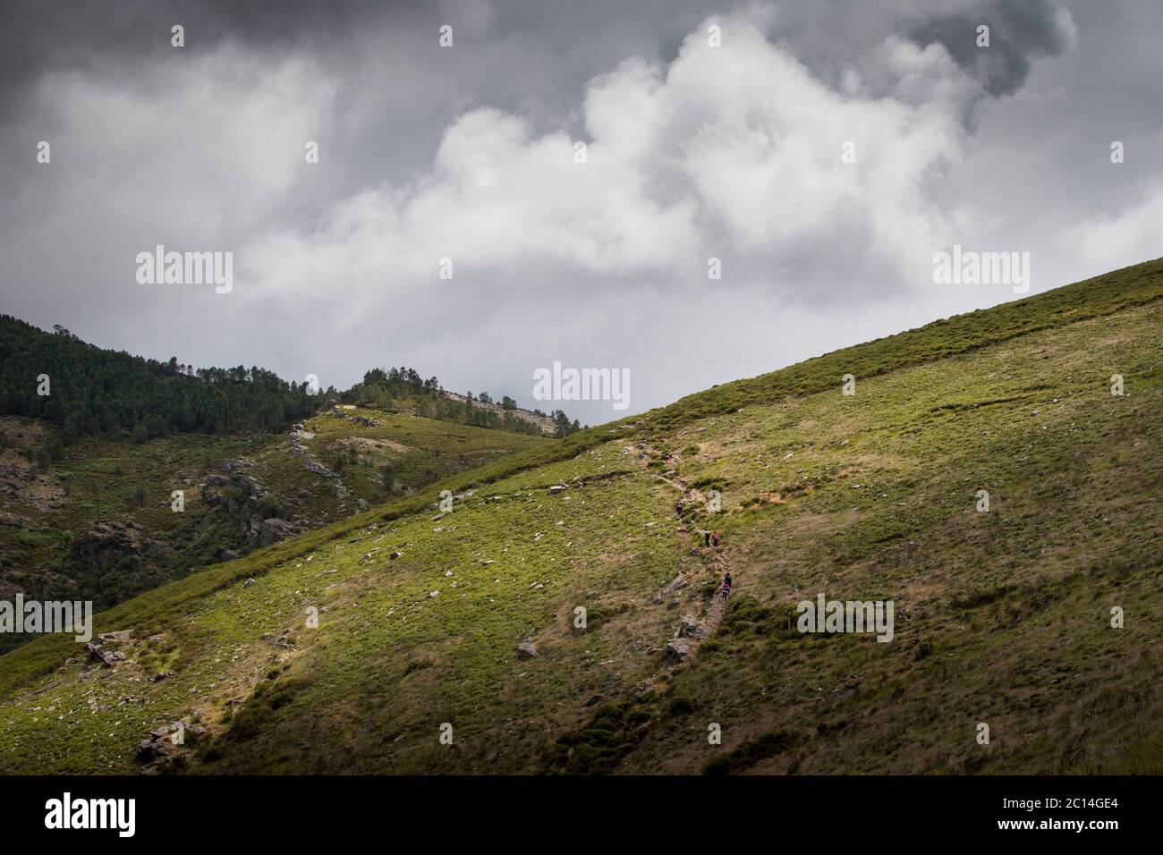 Hikers go up a green hill under grey cloudy skies Stock Photo
