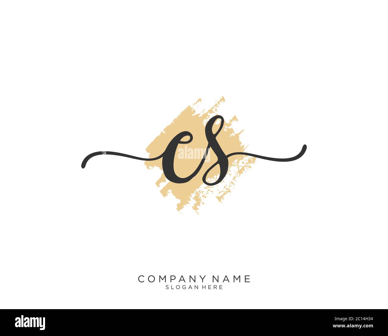 CS Initial handwriting logo vector Stock Vector