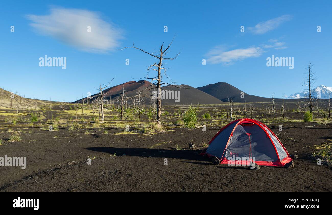 Tourist tent in Dead wood - consequence of catastrophic release of ash during the eruption of volcano in 1975 Tolbachik Stock Photo