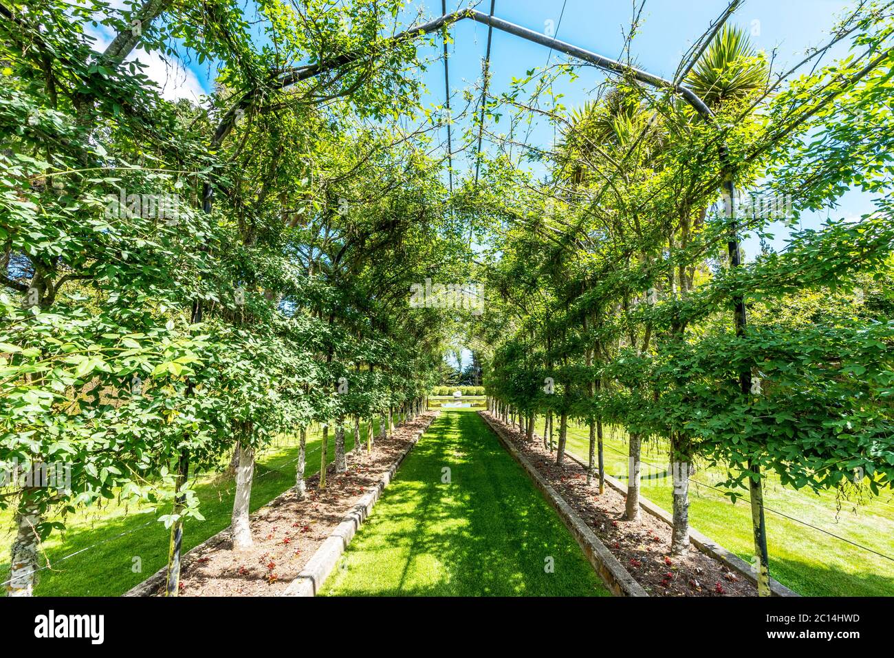 empty green footpath under steel frame in park Stock Photo