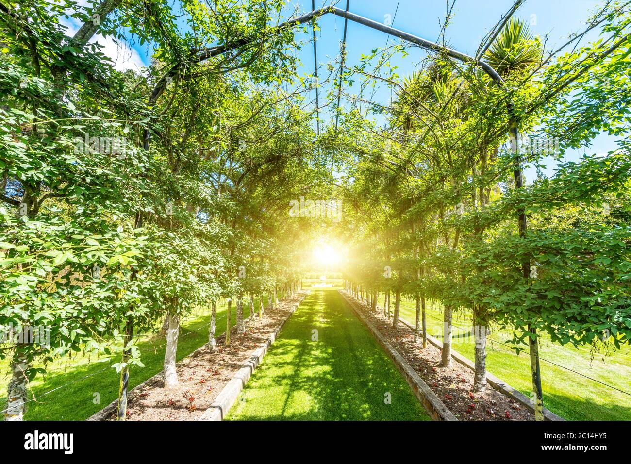 empty green footpath under steel frame in park Stock Photo