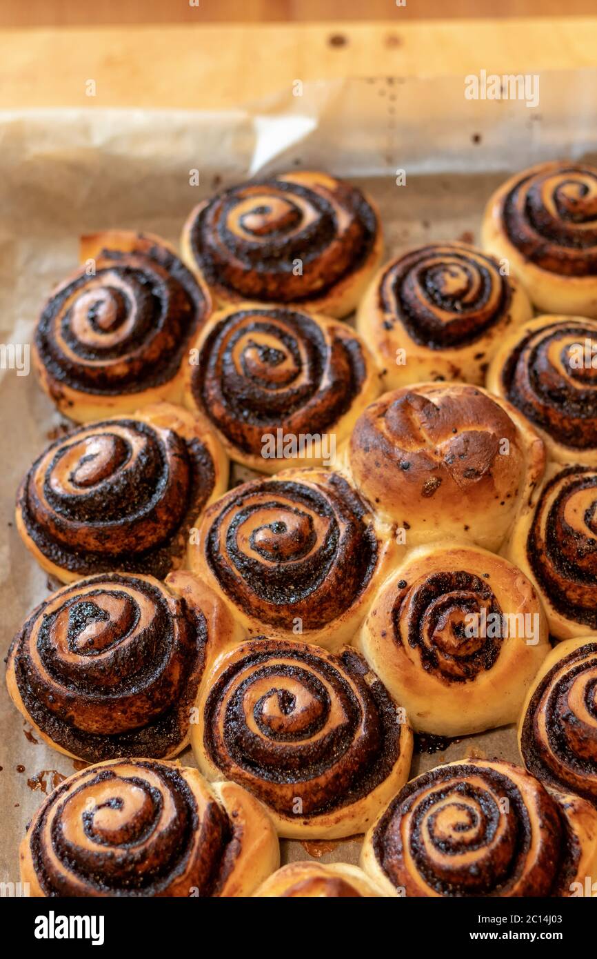 Homemade yeast dough chocolate rolls, close up image shallow depth of field Stock Photo
