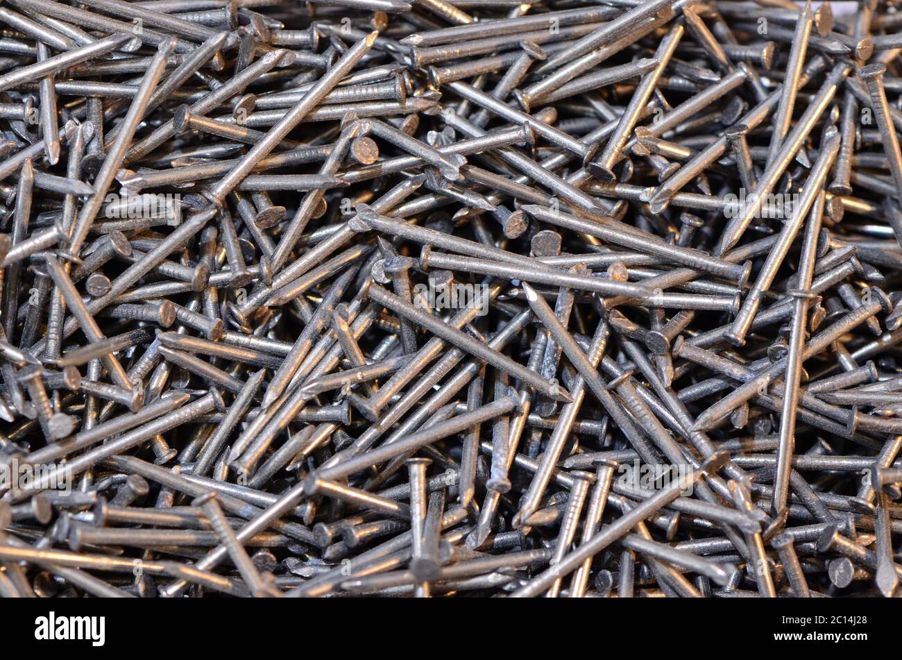 Galvanized nails with macro shot 1.5 cm long to be used for thin